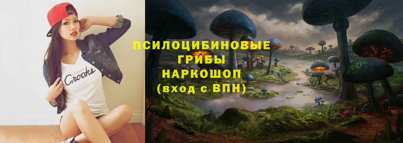 Галлюциногенные грибы Psilocybe  mega ссылки  Кострома 